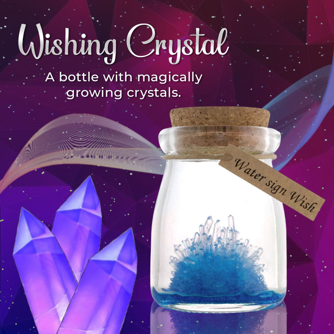 DIY Crystal Growing Kit