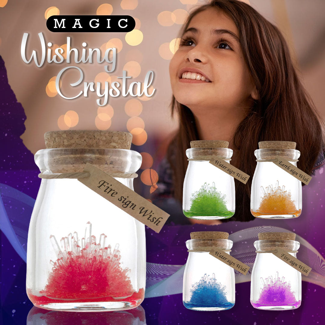 DIY Crystal Growing Kit