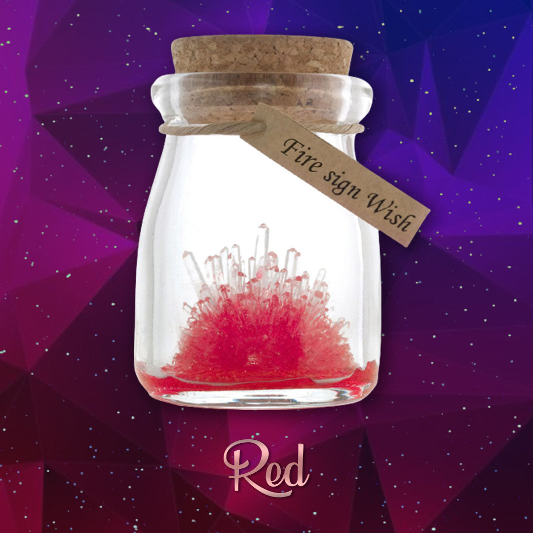 DIY Crystal Growing Kit