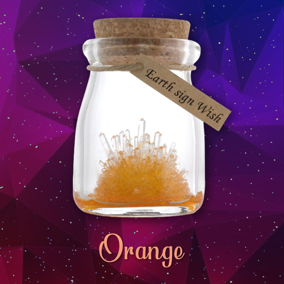 DIY Crystal Growing Kit