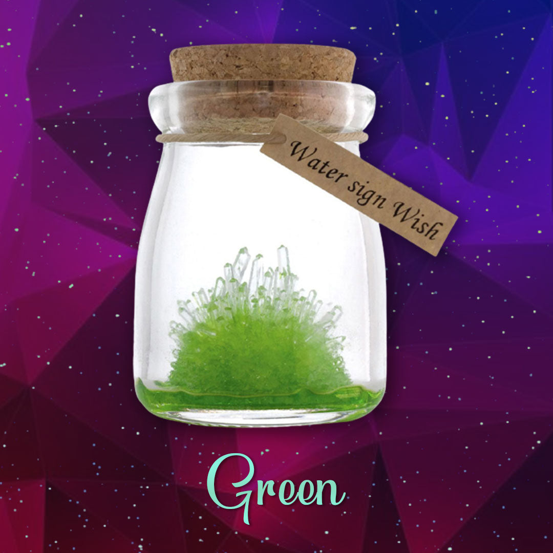 DIY Crystal Growing Kit